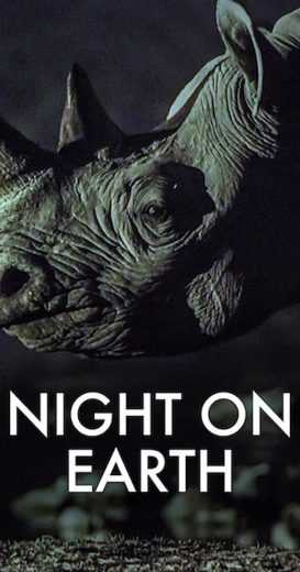 Night on Earth