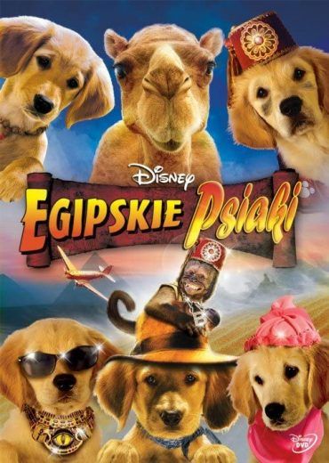 مشاهدة فيلم Treasure Buddies 2012 مترجم