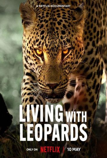 مشاهدة فيلم Living with Leopards 2024 مترجم